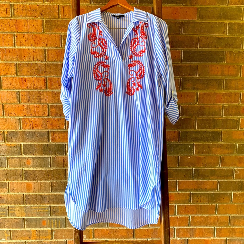 Blue and White Striped Embroidered Spense Dress